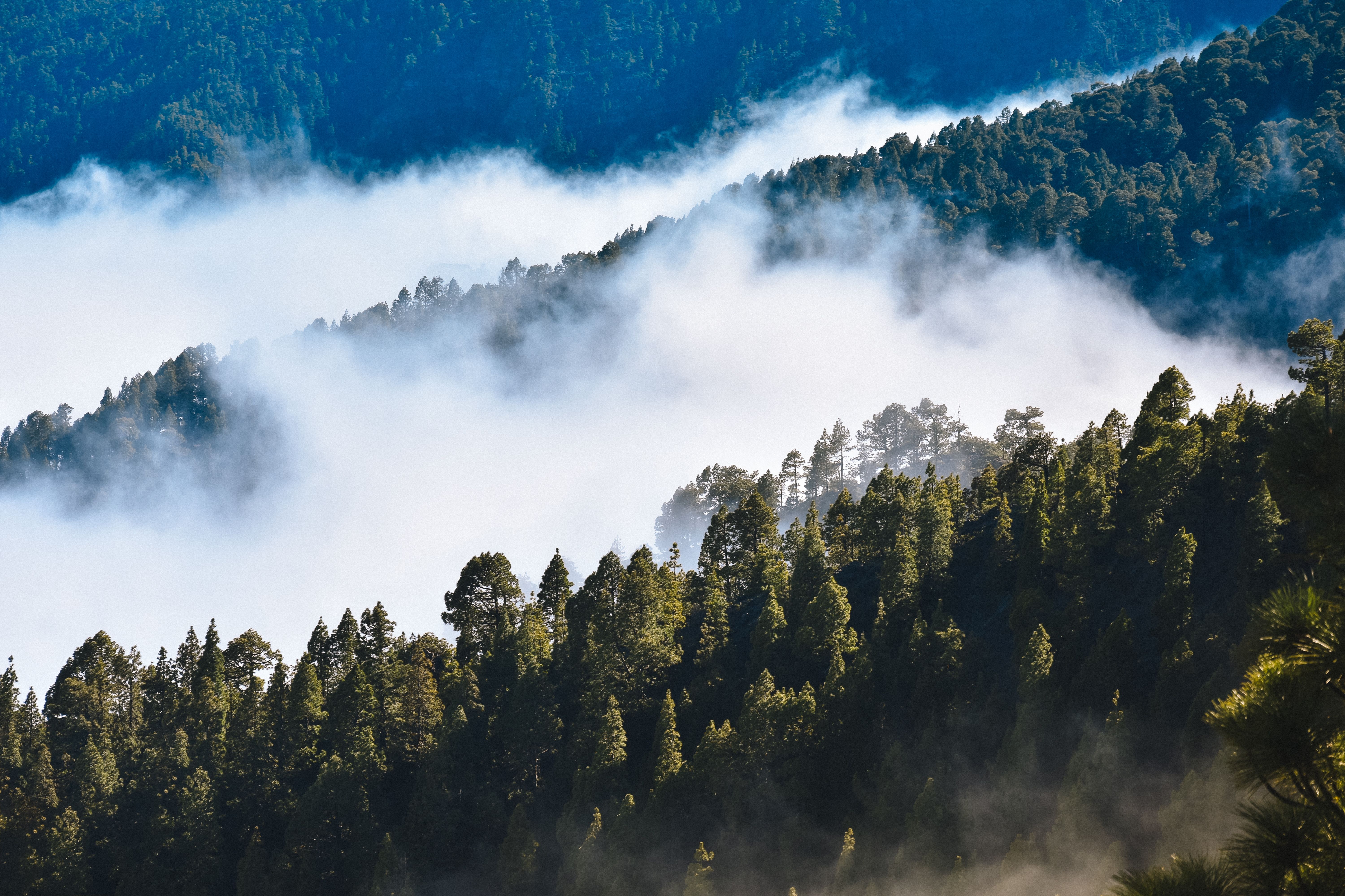 La Palma
