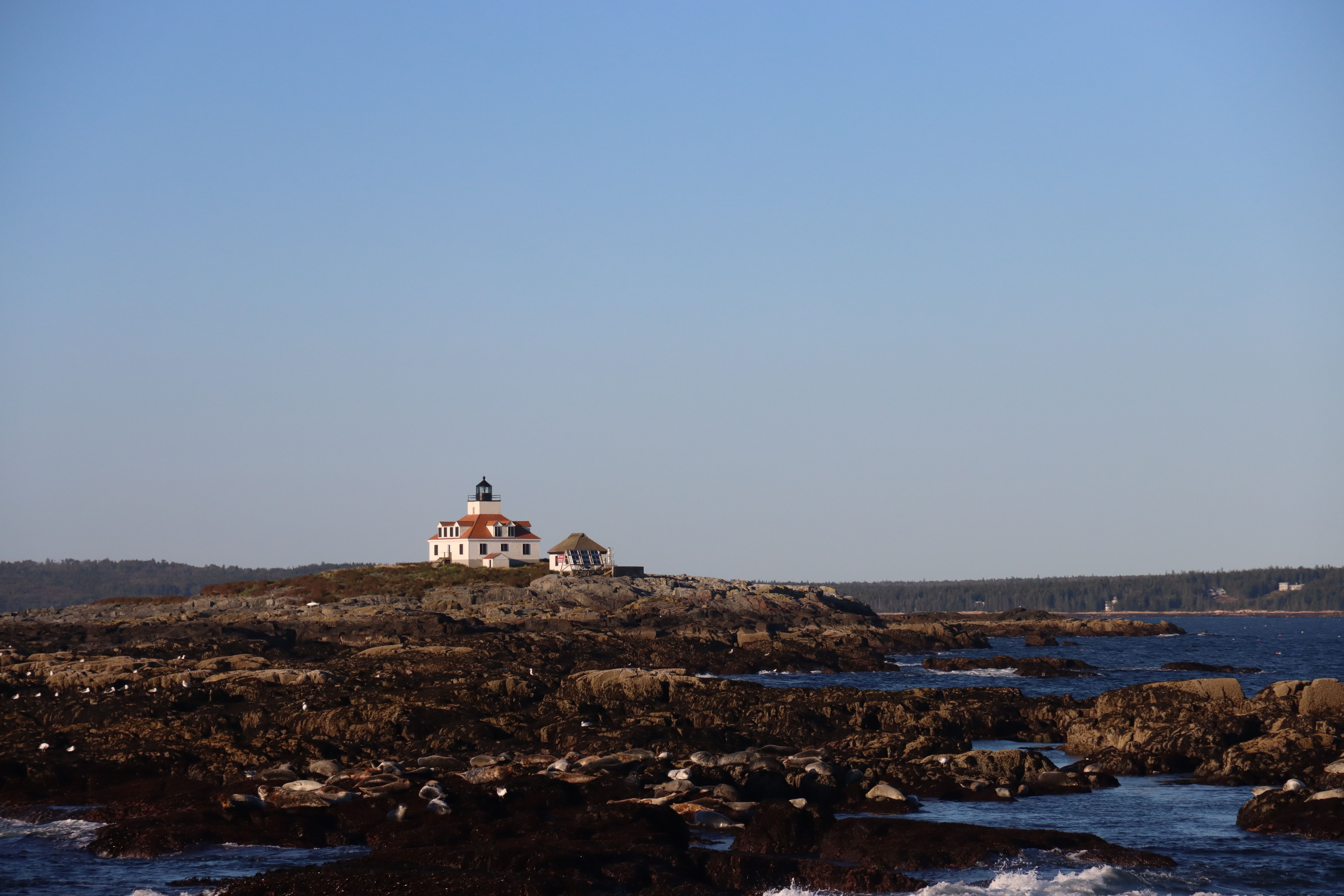 Bar Harbor