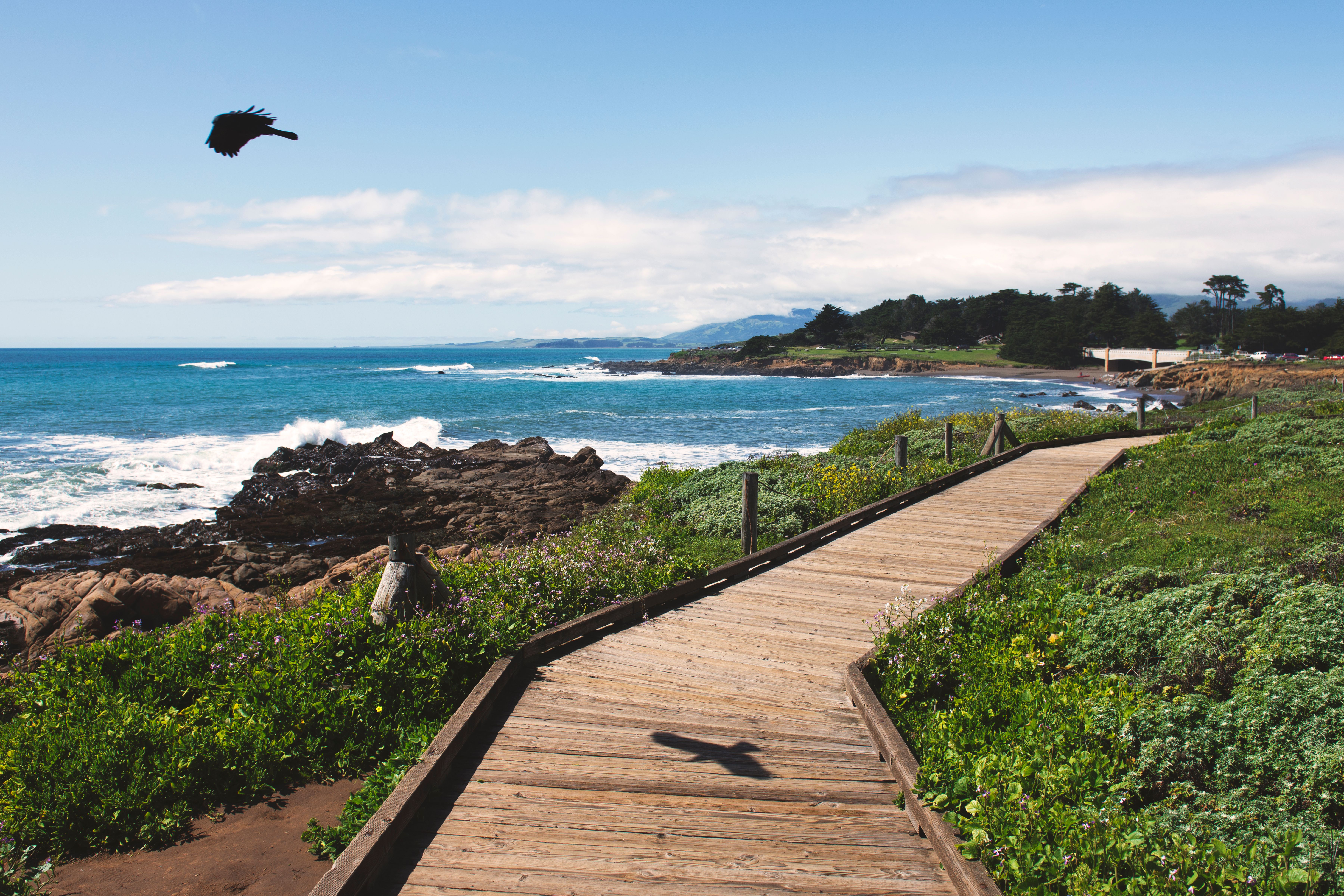 Cambria