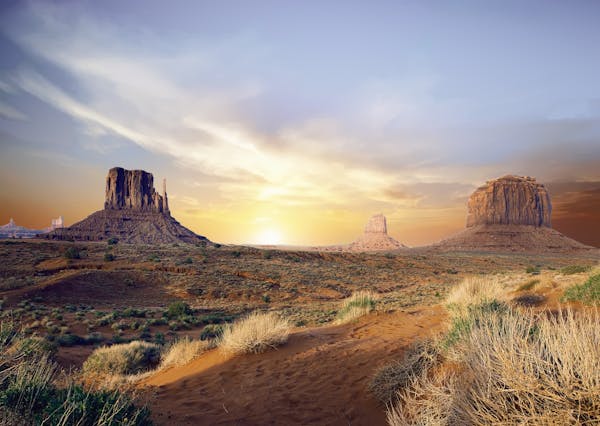 Arizona