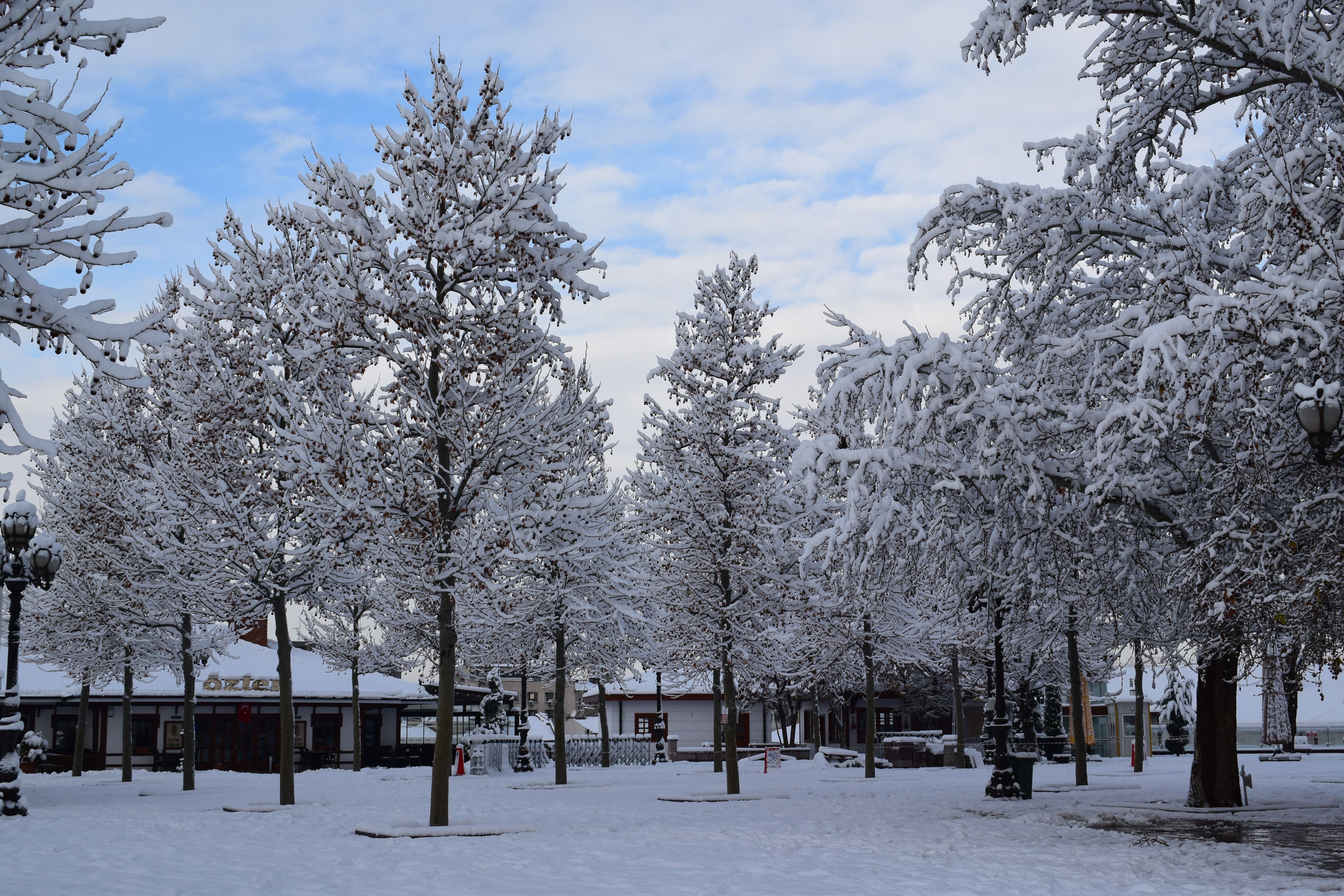 Winter Park