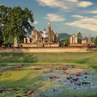 Top Hospitals in Thailand by Specialty
