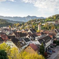 Enrolling in the Public Healthcare System in Austria