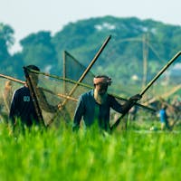 Pros and Cons of Living in Bangladesh