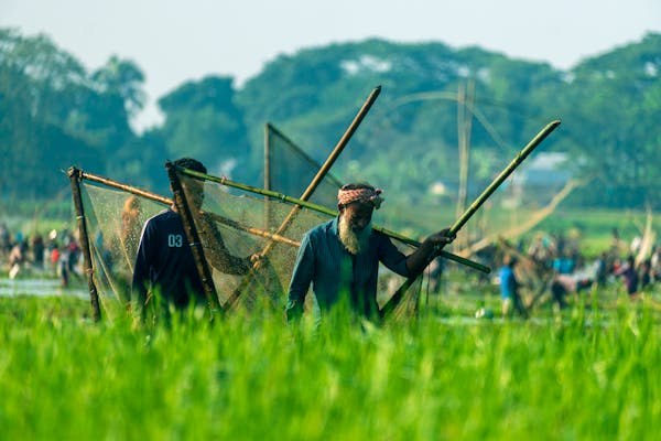 Bangladesh