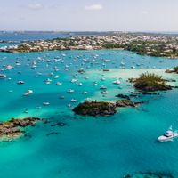 Work from Bermuda Certificate