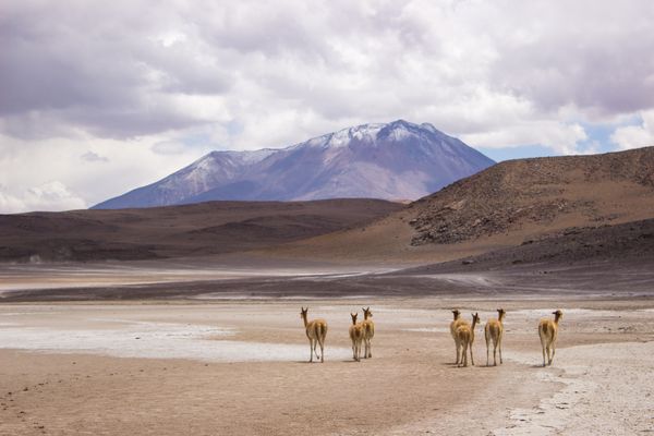 Bolivia