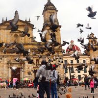 Best Bookstores and Libraries in Bogota