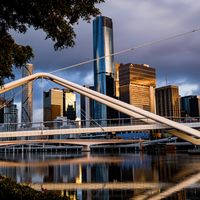 Adopting a Local - 5 Tips for Expat Dog Owners in Australia