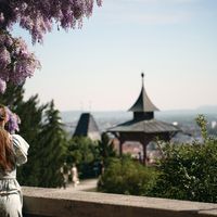 Understanding Mental Health in Austria