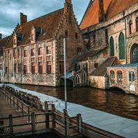 Moving to Belgium with a Pet