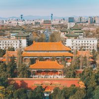 Dengue Virus in China
