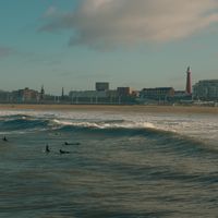 Tips for Expats Driving in The Hague