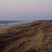 Fun Classes for Expats Living in The Hague