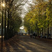10 Tips for Living in The Netherlands