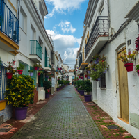 Volunteering in Marbella