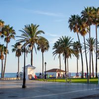 Public Transportation in Marbella