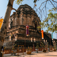 Chikungunya Disease in Thailand