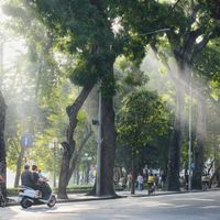 Understanding Mental Health in Vietnam