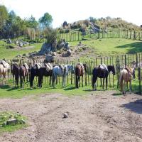 Pros and Cons of Living in Argentina