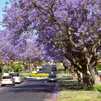 Do I need Health Insurance When Moving to Australia?