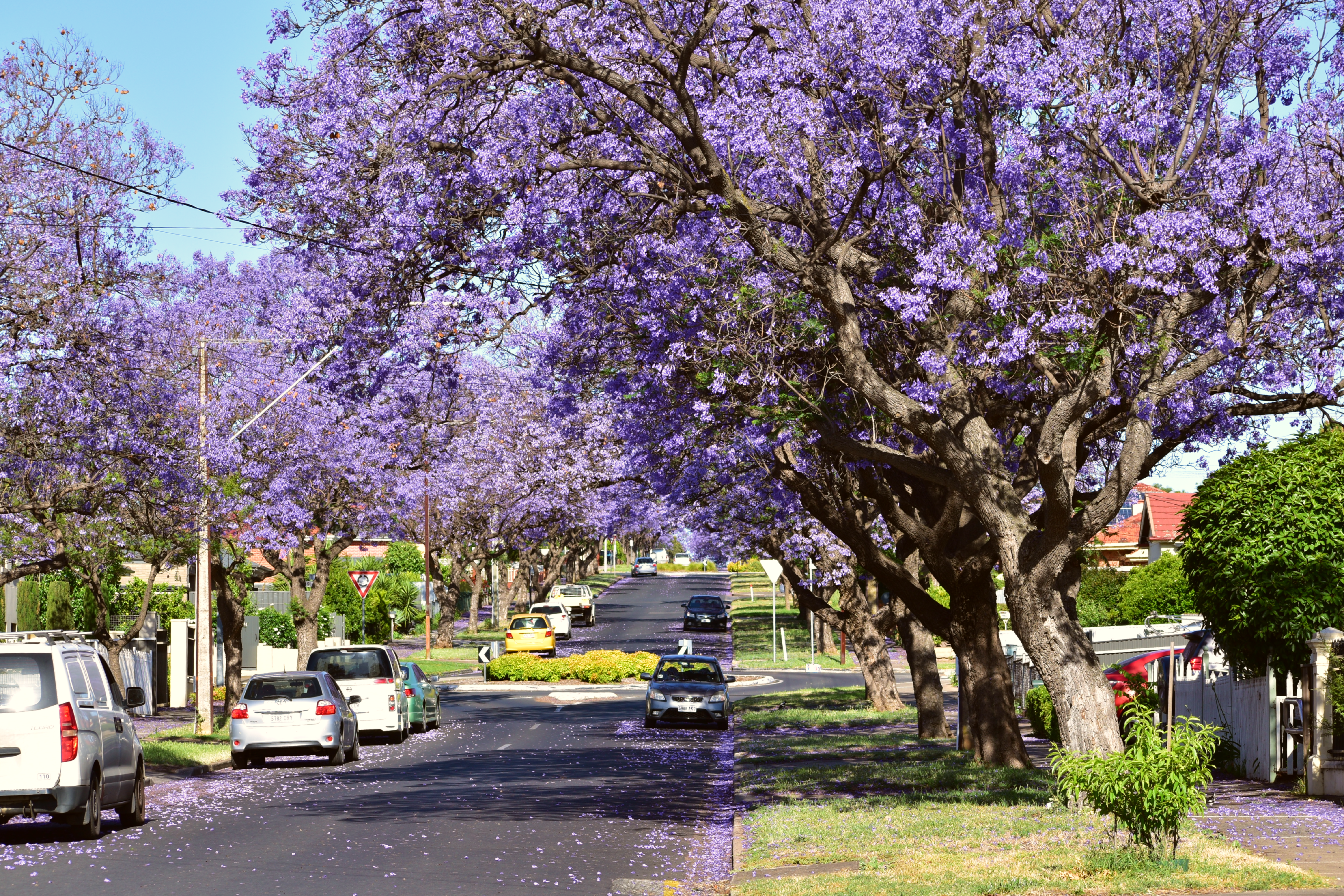 Adelaide, Australia