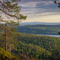 Do I need Health Insurance When Moving to Finland?