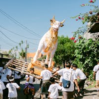 Volunteering in Bali