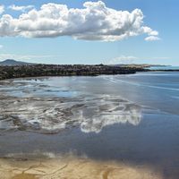 Understanding Mental Health in New Zealand