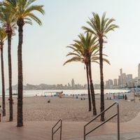 Public Transportation in Benidorm
