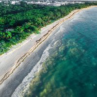 Pros & Cons of Living in Playa del Carmen