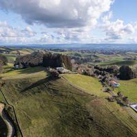 5 Best Places to Live in New Zealand