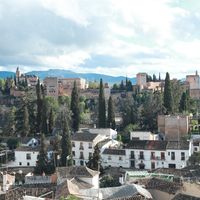 Best Markets in Granada