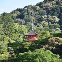 Retire in Kyoto Guide
