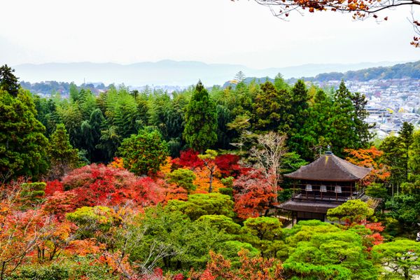 Kyoto, Japan