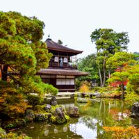 Understanding Mental Health in Japan