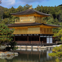 Tips for Expats Driving in Kyoto