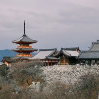 Fun Classes for Expats Living in Kyoto