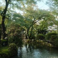Discovering the Best of Kyoto