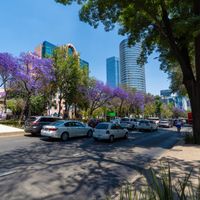 Tax Guide for Americans in Mexico