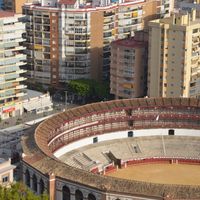 Best Bookstores and Libraries in Malaga