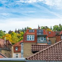 Culture Shock in Germany
