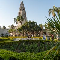 Best Bookstores and Libraries in San Diego