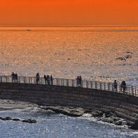 Pros & Cons of Living in San Diego