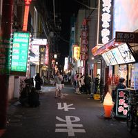 Culture Shock in Japan