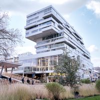 Understanding Mental Health in The Netherlands