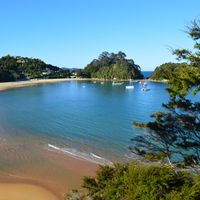 How to Enroll in the Public Healthcare System in New Zealand