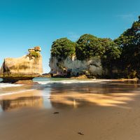 Culture Shock in New Zealand