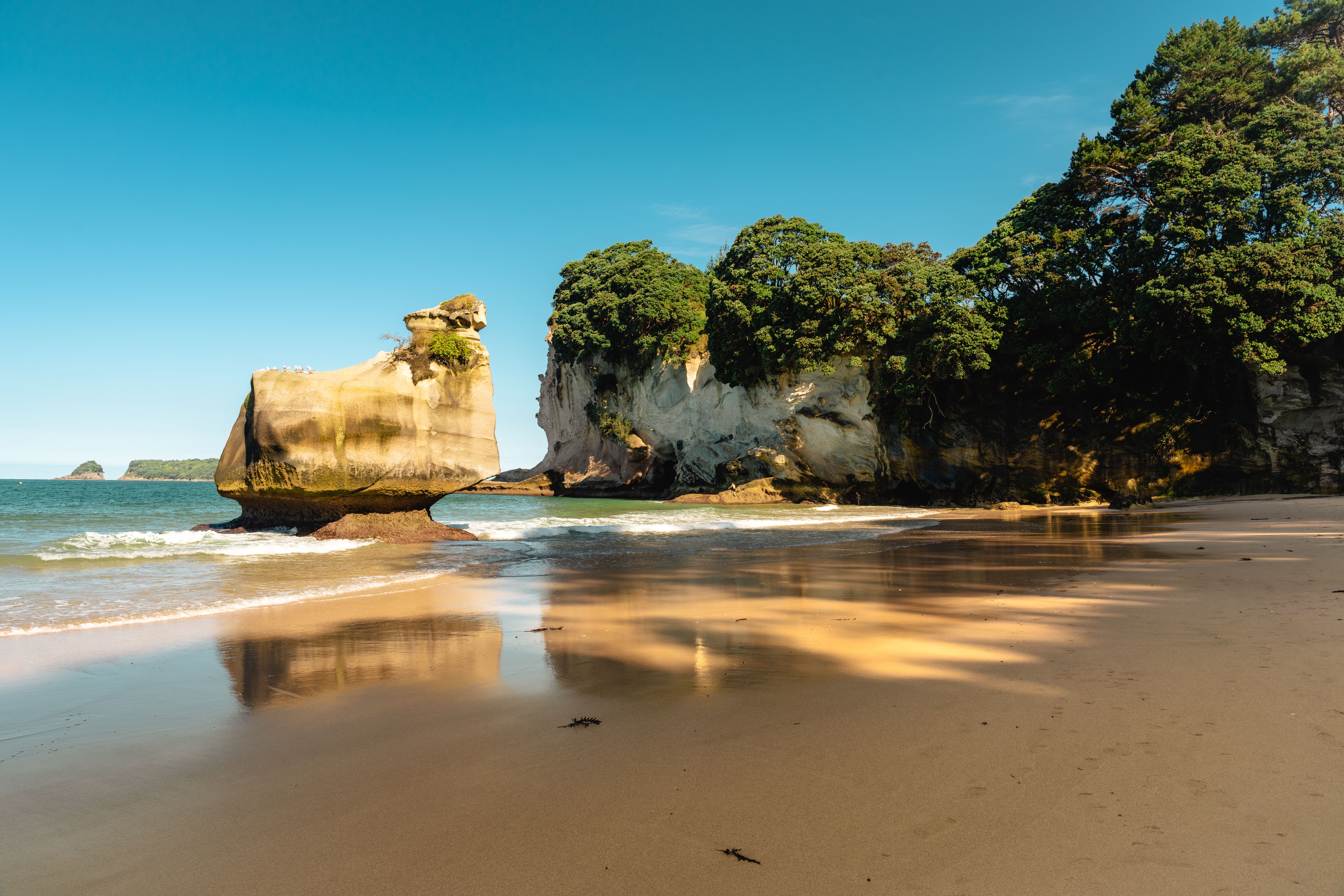 New Zealand