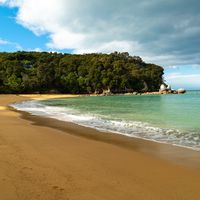 Health Insurance in New Zealand